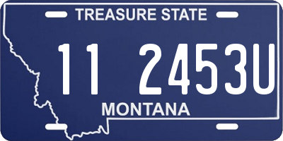 MT license plate 112453U