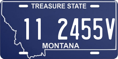 MT license plate 112455V