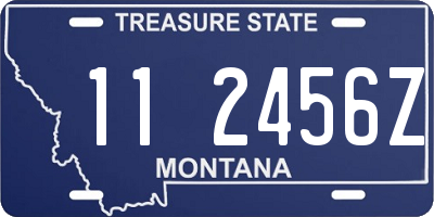 MT license plate 112456Z