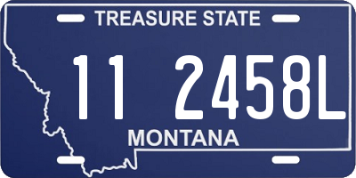 MT license plate 112458L