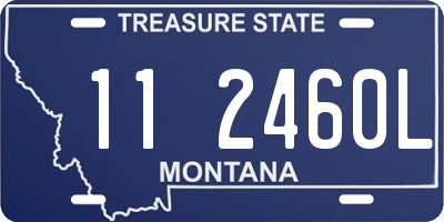 MT license plate 112460L