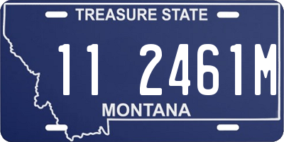 MT license plate 112461M