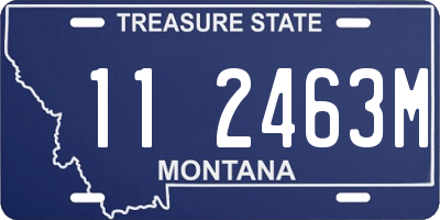 MT license plate 112463M
