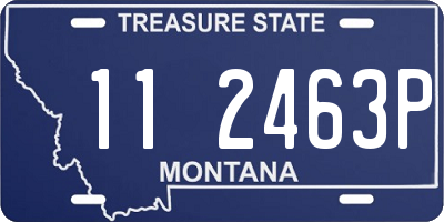 MT license plate 112463P