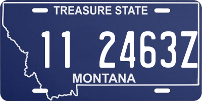 MT license plate 112463Z