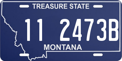 MT license plate 112473B