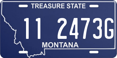 MT license plate 112473G