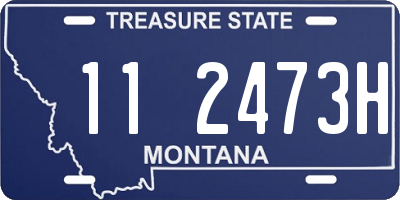 MT license plate 112473H