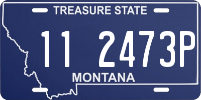 MT license plate 112473P