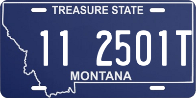 MT license plate 112501T