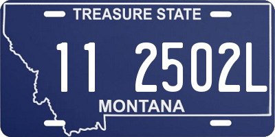 MT license plate 112502L