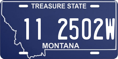 MT license plate 112502W