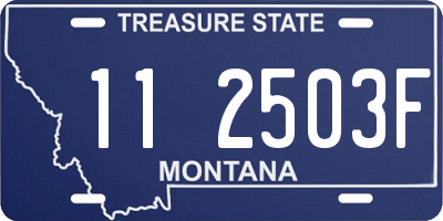 MT license plate 112503F
