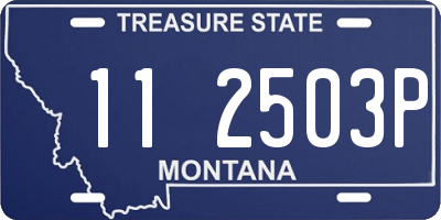 MT license plate 112503P