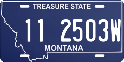 MT license plate 112503W