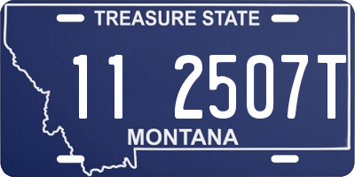 MT license plate 112507T