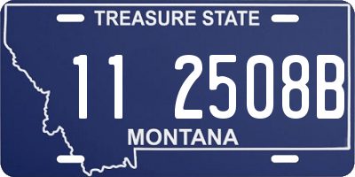 MT license plate 112508B