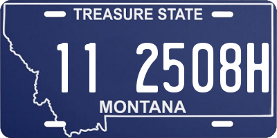 MT license plate 112508H