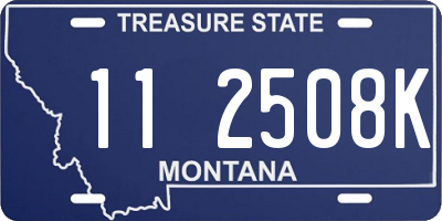 MT license plate 112508K