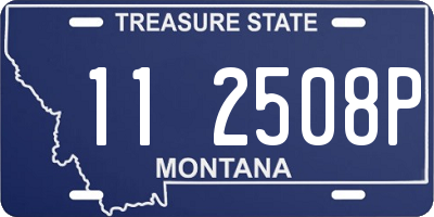 MT license plate 112508P