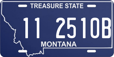 MT license plate 112510B