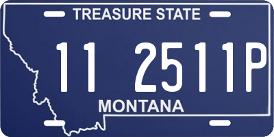 MT license plate 112511P