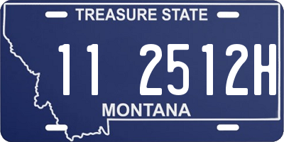 MT license plate 112512H