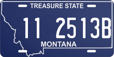 MT license plate 112513B