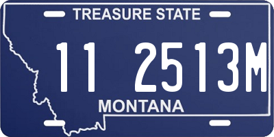 MT license plate 112513M