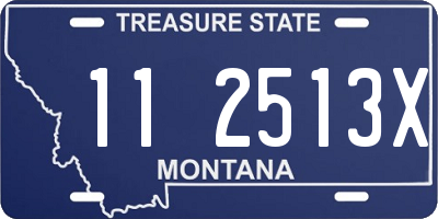 MT license plate 112513X