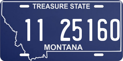 MT license plate 112516O