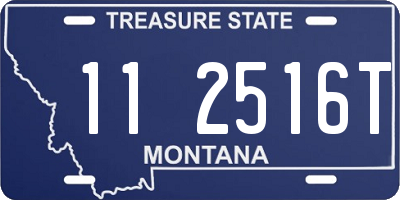 MT license plate 112516T