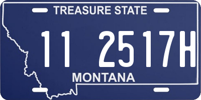 MT license plate 112517H