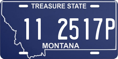 MT license plate 112517P