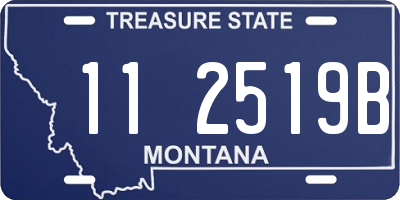 MT license plate 112519B