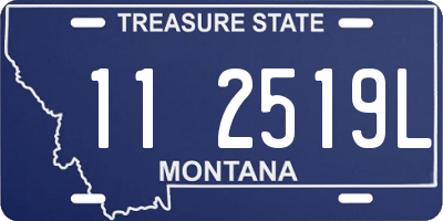 MT license plate 112519L