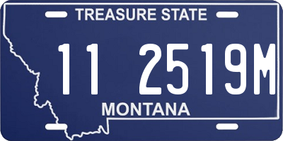 MT license plate 112519M