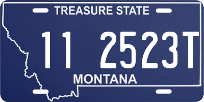 MT license plate 112523T