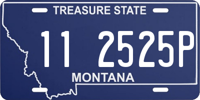 MT license plate 112525P