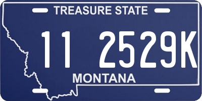 MT license plate 112529K