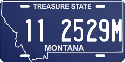 MT license plate 112529M