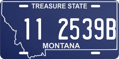 MT license plate 112539B