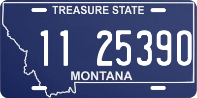 MT license plate 112539O