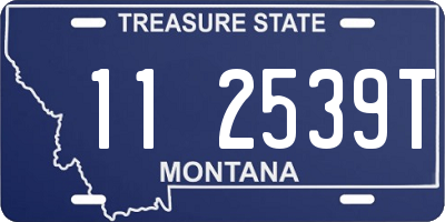 MT license plate 112539T