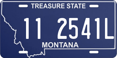 MT license plate 112541L