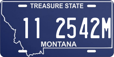 MT license plate 112542M