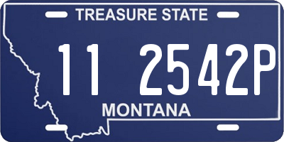 MT license plate 112542P