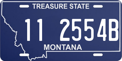 MT license plate 112554B