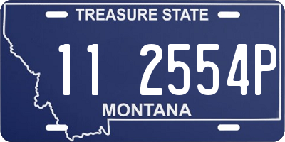 MT license plate 112554P