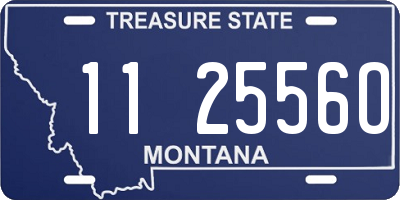 MT license plate 112556O